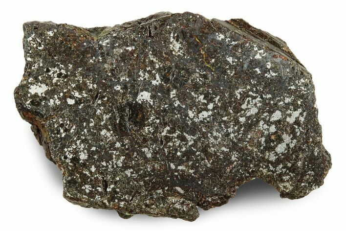 Polished Vaca Muerta Mesosiderite Meteorite ( g) - Chile #246989